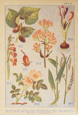 Полный русский иллюстрированный словарь-травник и цветник... СПб., 1898-1899-1901.